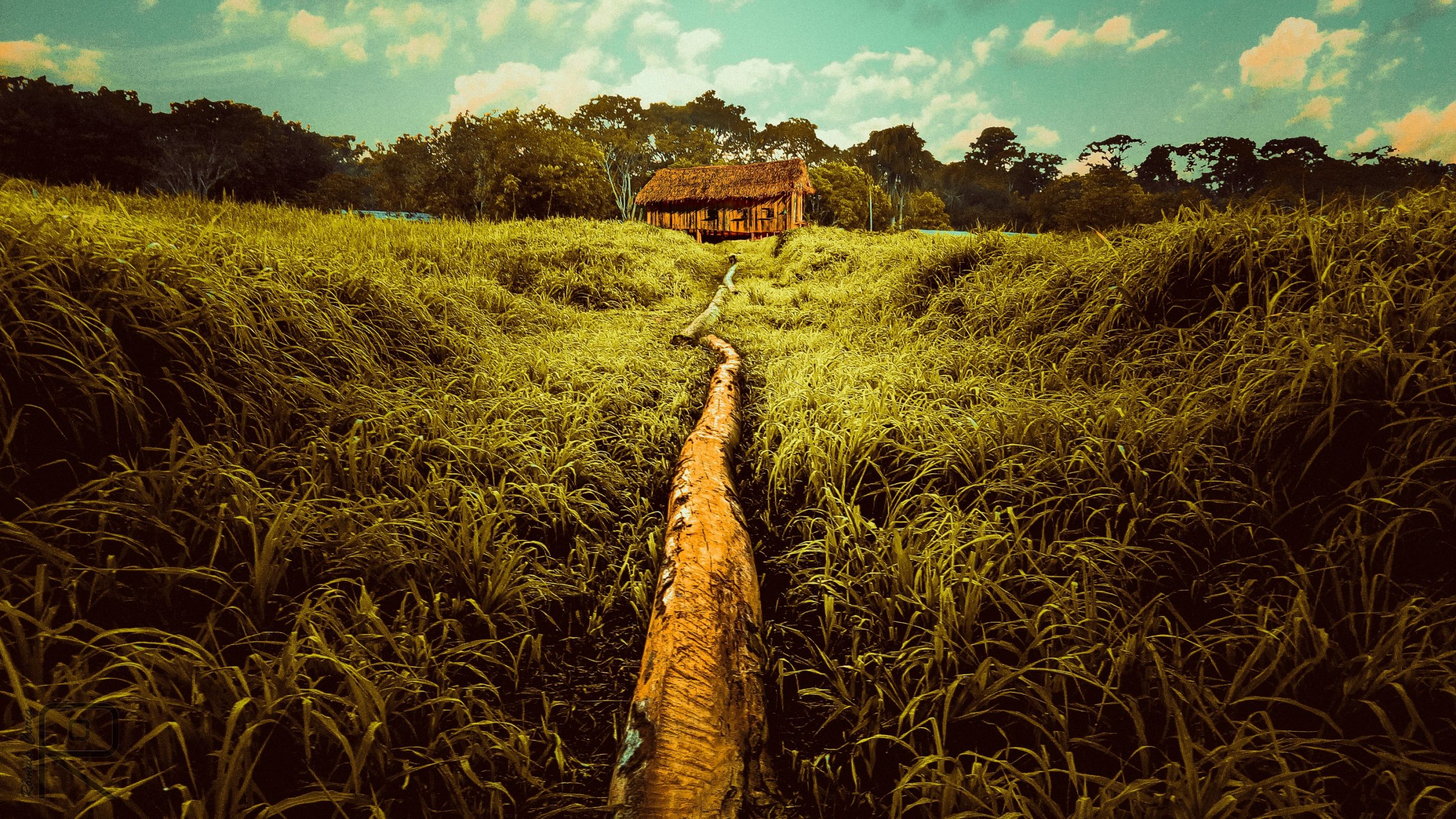 Amazonas